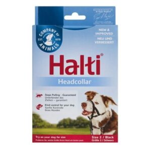 אריזת רתמת ראש לכלבים Halti, עוזרת לשלוט בכלב בזמן הליכה. ציוד מומלץ לכל בעלי הכלבים.
