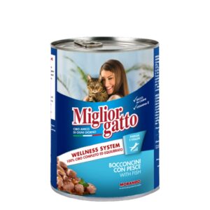 קופסת אוכל לחתולים עם תמונה של אישה מחייכת וחתול, המיועדת למזון איכותי לחתולים.